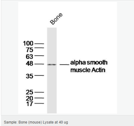 6052ae9a17437.png image.png