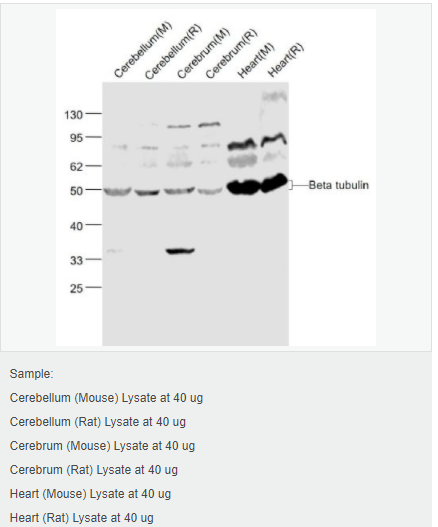 6052b71030147.png image.png