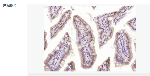 605416102831f.png image.png