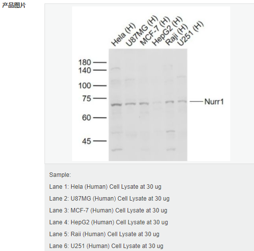 60544ec751b76.png image.png