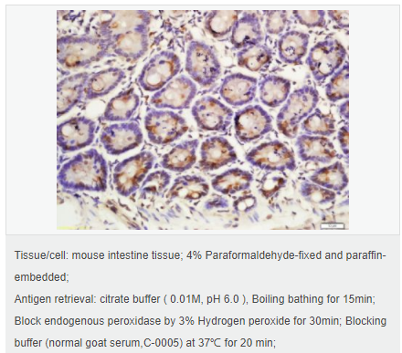 6054610a17744.png image.png