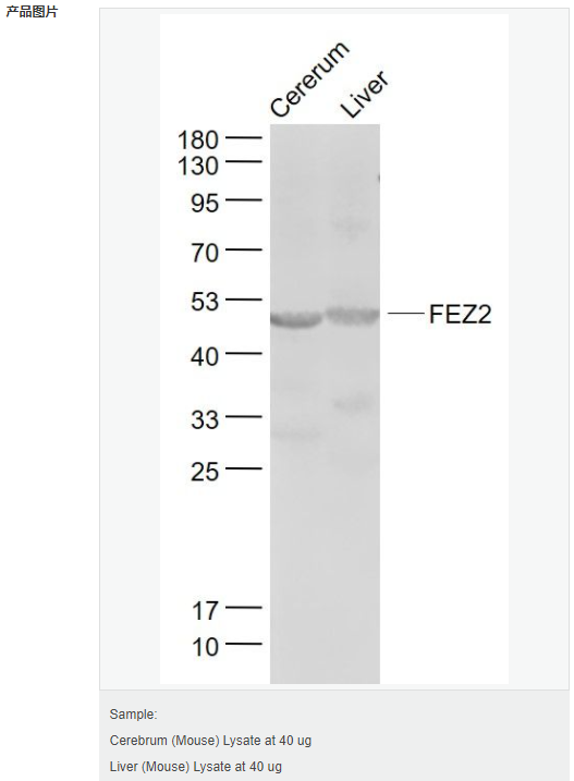 6057eecb65714.png image.png