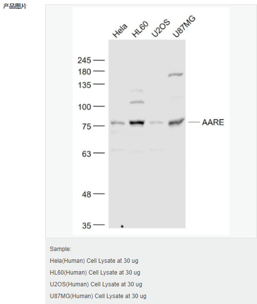 605801d25ede3.png image.png