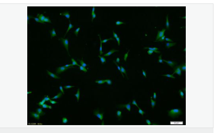 605806164d42d.png image.png