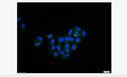 60582cf83a294.png image.png