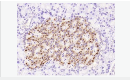 60583070068a2.png image.png