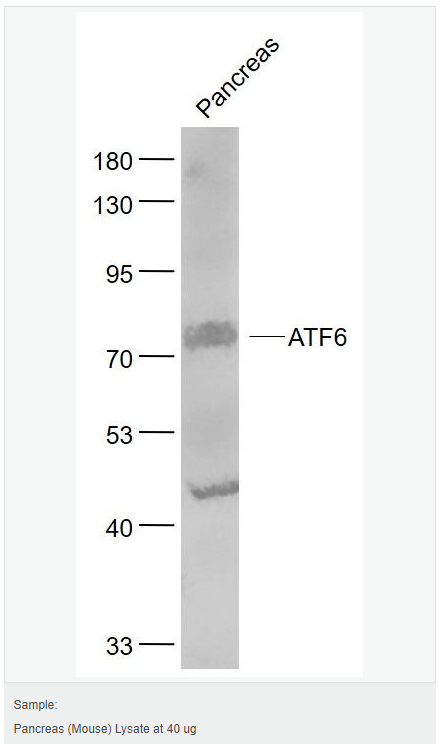 60583560a6931.png image.png