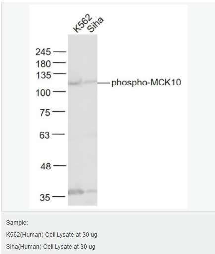 60583b388f147.png image.png