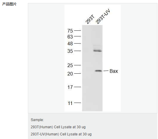 605851094e167.png image.png