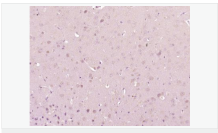 605946976a7a6.png image.png