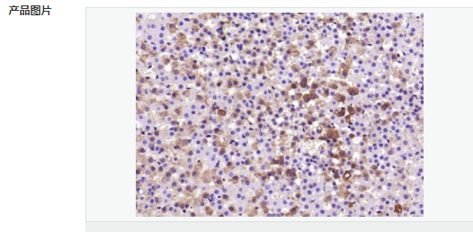 605957e43e8ca.png image.png