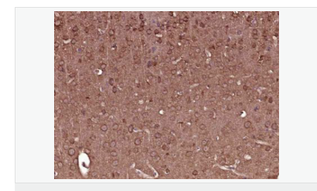 605c3a0ce823f.png image.png