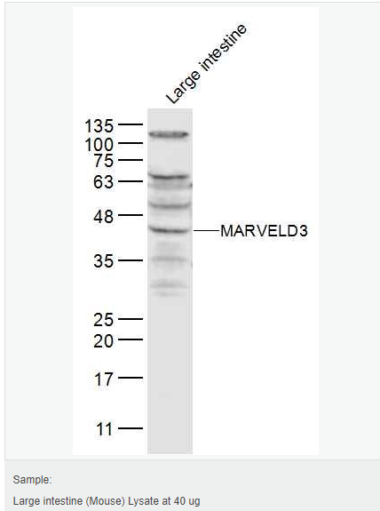 605c3d7d342de.png image.png