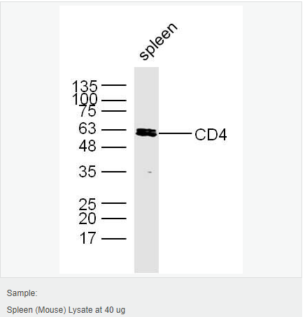 605c3f1b578ba.png image.png