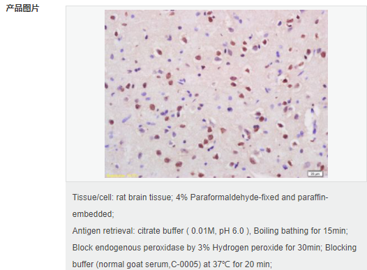 605d81c8ad457.png image.png