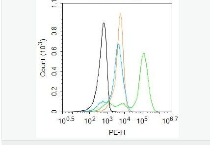 605d81de54055.png image.png