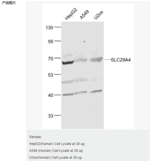 6063e22719873.png image.png