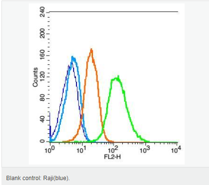 60642547193c5.png image.png