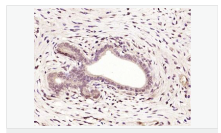 6066c3b9e5409.png image.png