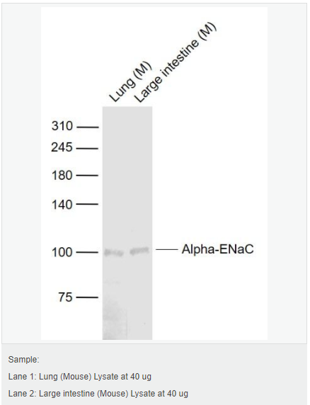 6066c51eac293.png image.png