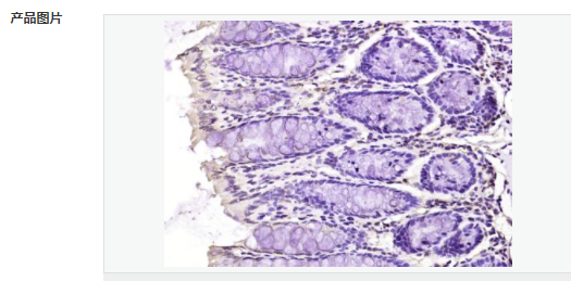 606bb76e0f396.png image.png