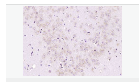 606bb77999be4.png image.png