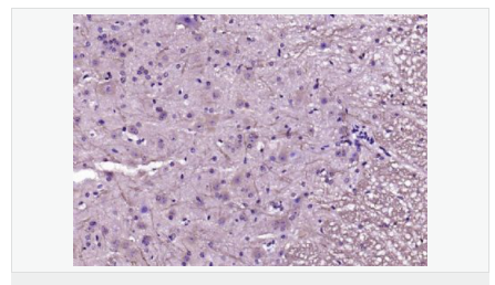 606bcbe80ed36.png image.png