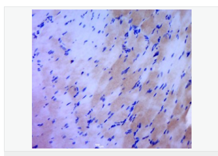 606bcd1ace774.png image.png