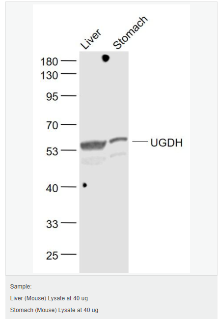 606bd4721b738.png image.png