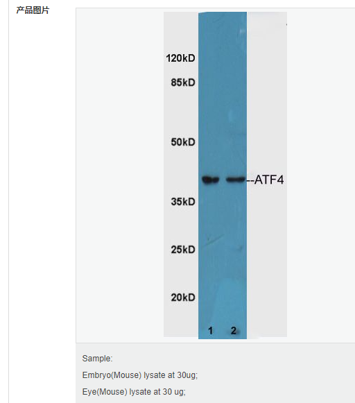 607643b3b7dee.png image.png