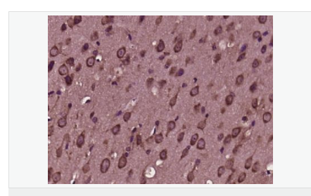 6076455067088.png image.png