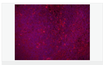 607645973530b.png image.png