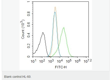 60764ad6a1fd4.png image.png