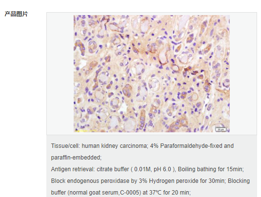 6076528b2cec9.png image.png