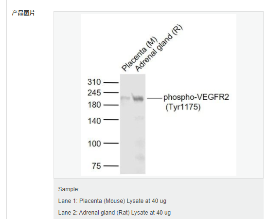 60765689c2f81.png image.png