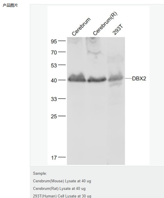 6077973c6bfef.png image.png