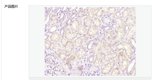 607949cd48d1a.png image.png